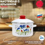 Кастрюля 2 л, эмалированная, Фрезия, 01-1610/4  /г. Магнитогорск/