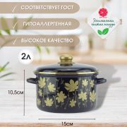 Кастрюля 2 л, эмалированная, Мелодия кобальт, 01-1610/4  /г. Магнитогорск/